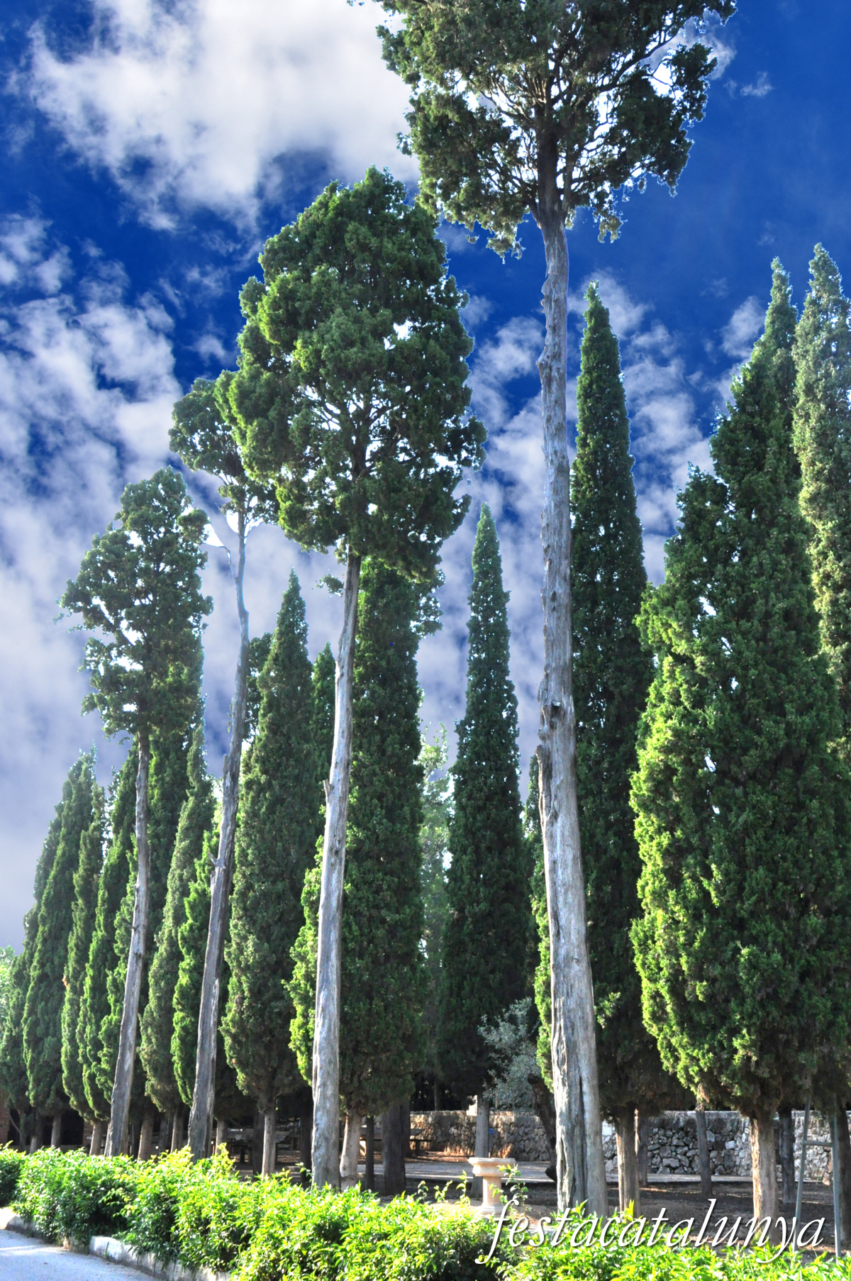 La Galera - El Calvari 
