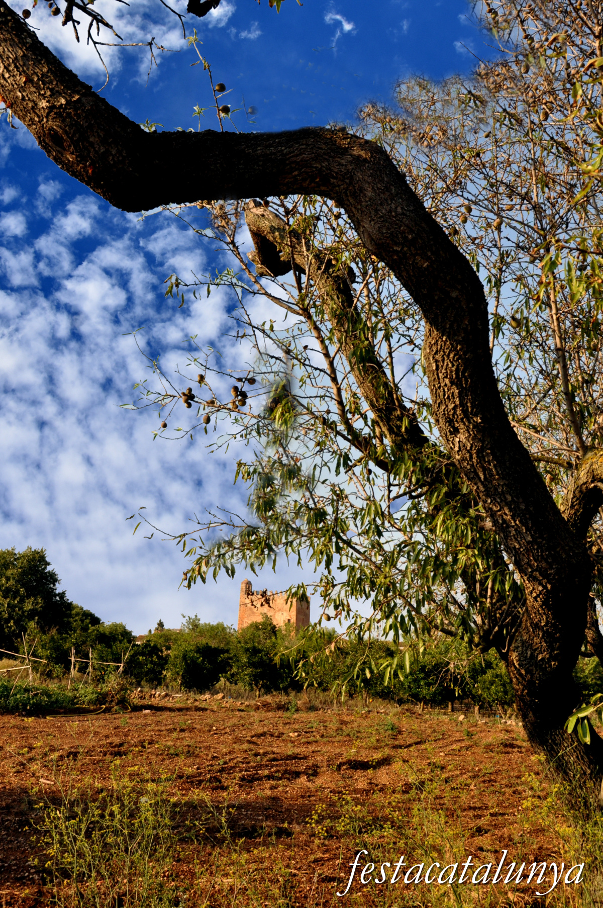 La Galera - Torre de defensa i església de Sant Llorenç