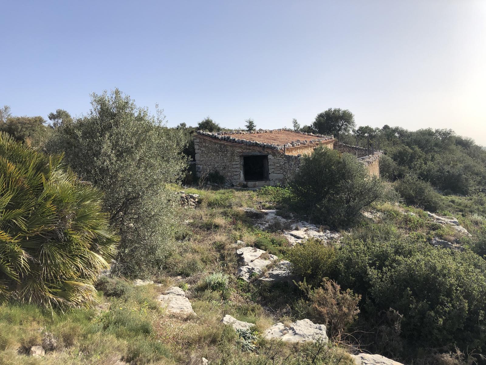 Ruta: Camí fluvial del riu Sénia