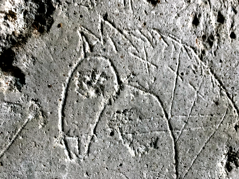 Grafits del castell de Castellfollit ***