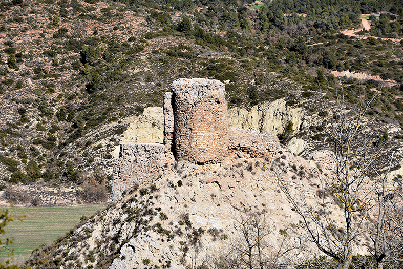 Recinte emmurallat del castell de Castellfollit ***