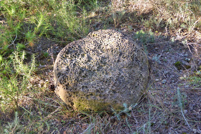 La Granadella - Cal Saliner