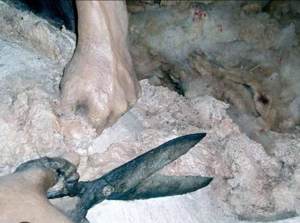 La Granadella - Cal Xoll 