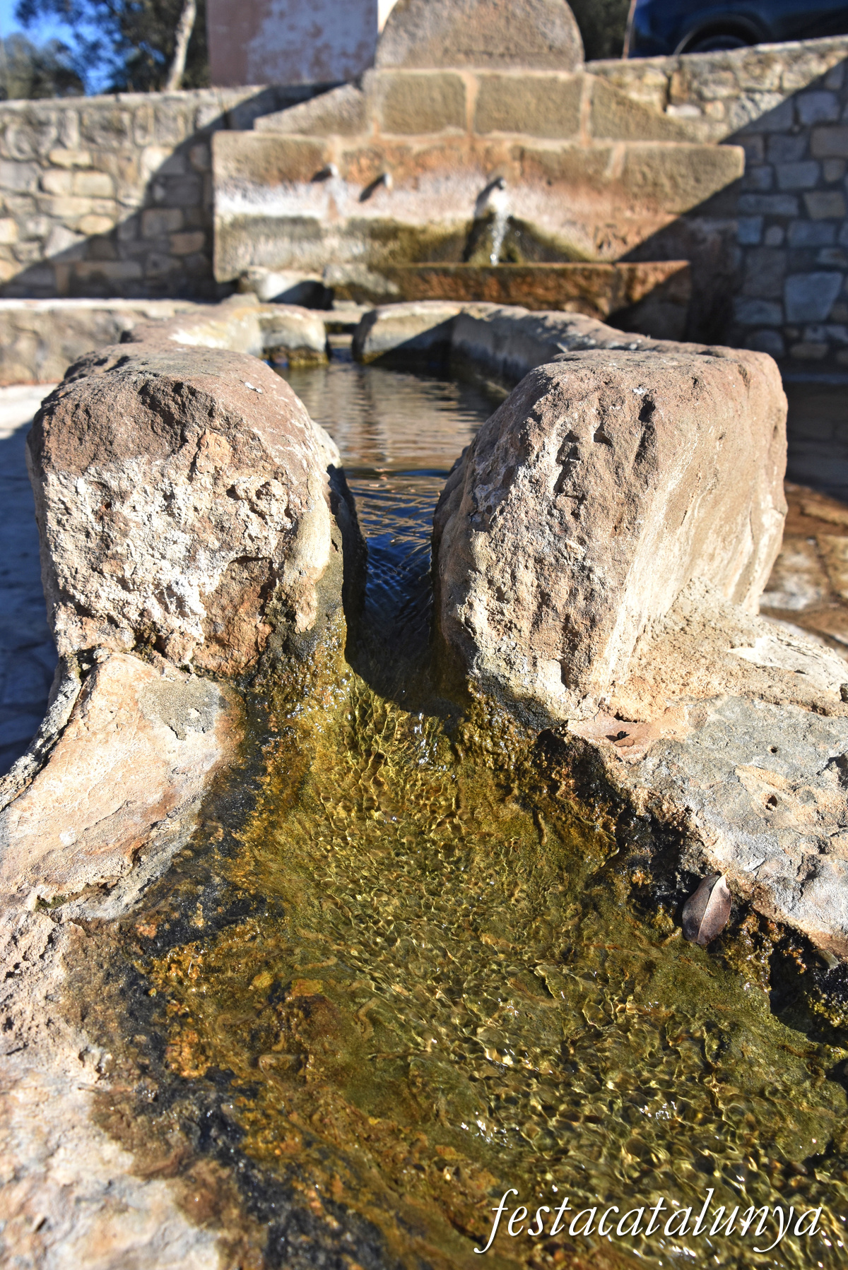 Oliola - Font del Coscó 