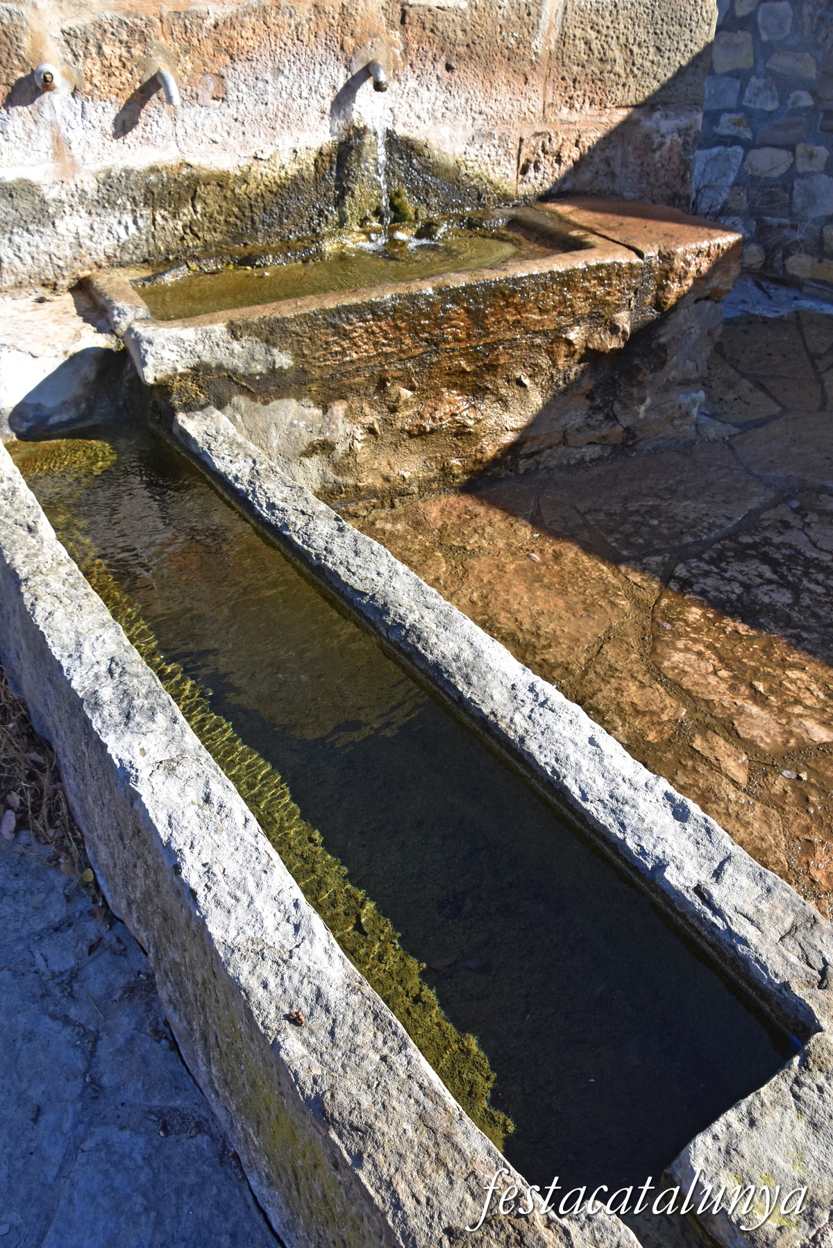 Oliola - Font del Coscó 