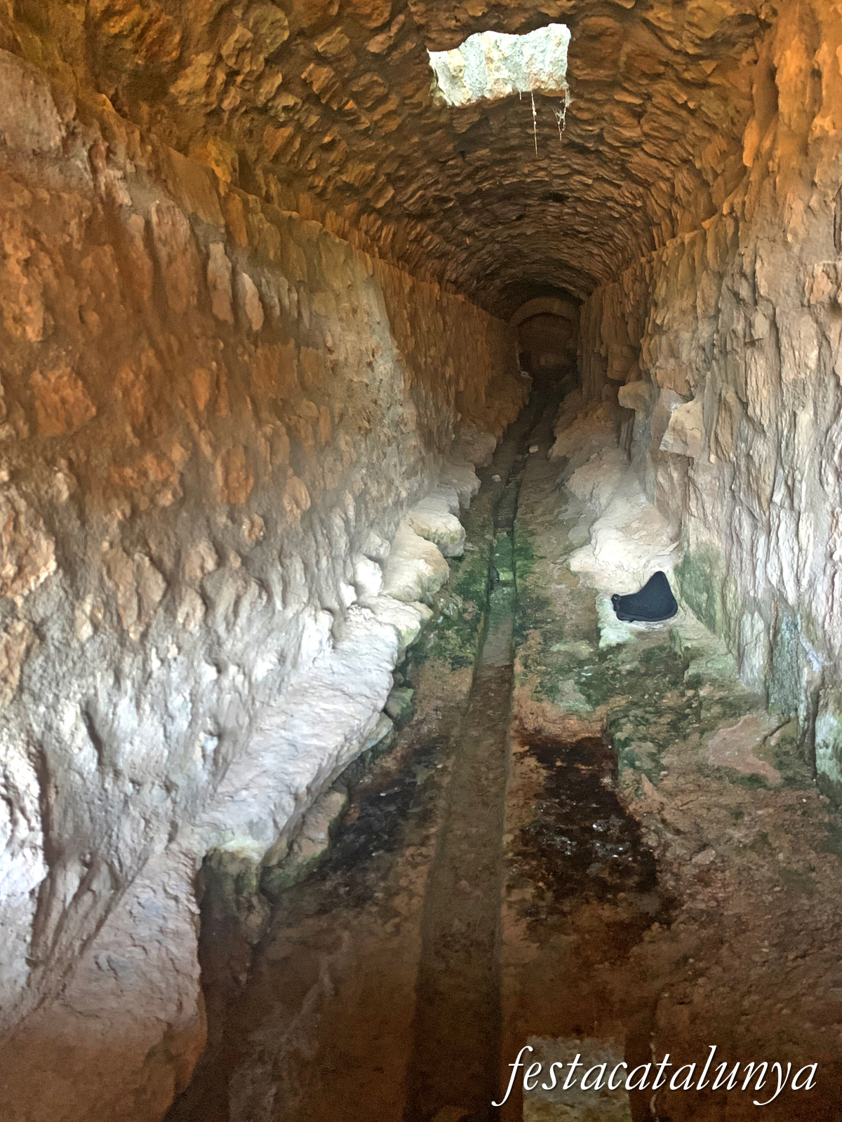 Oliola - Font del Coscó 