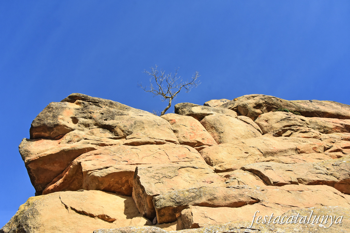 Oliola - Castell d'Oliola 