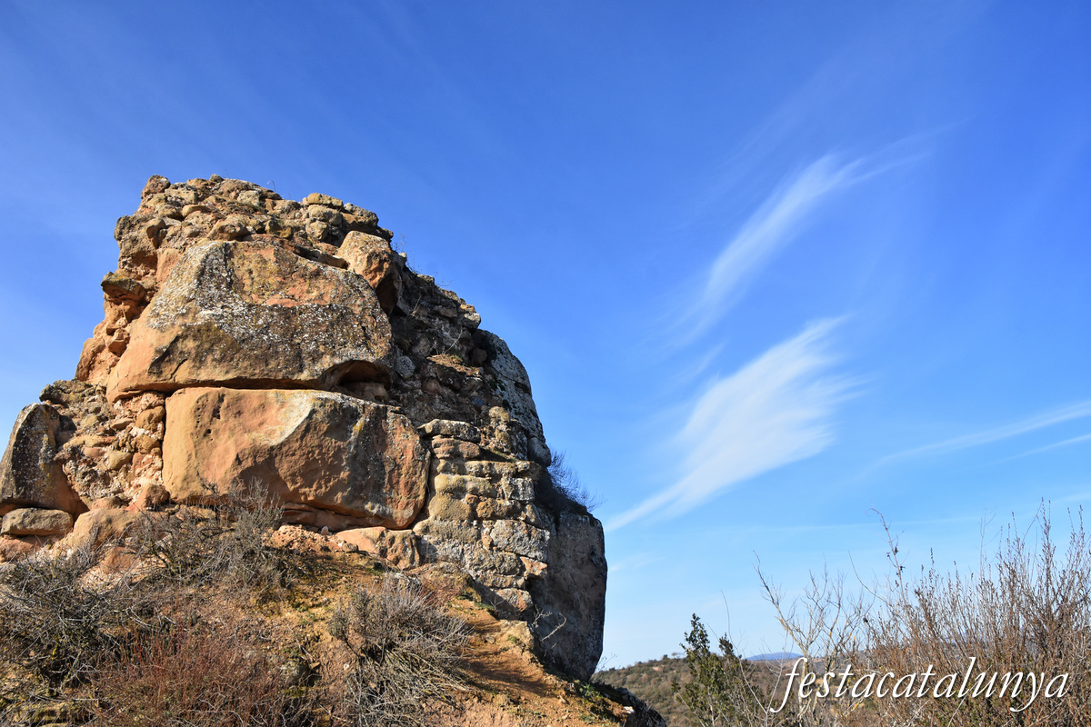 Oliola - Castell d'Oliola 