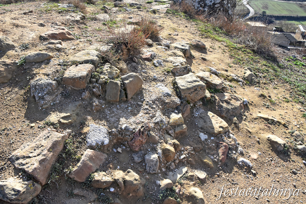 Oliola - Castell d'Oliola 