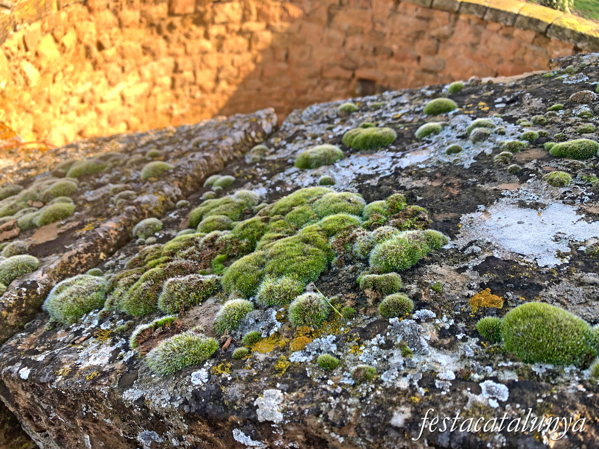 Oliola - Cisterna de Plandogau 