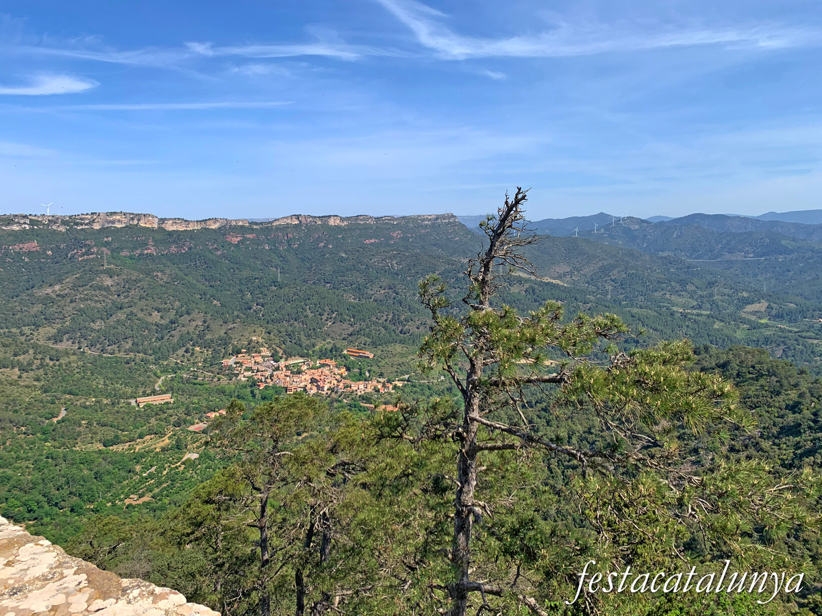 Riudecanyes - Vistes panoràmiques des de Santa Bàrbara del castell-monestir d'Escornalbou