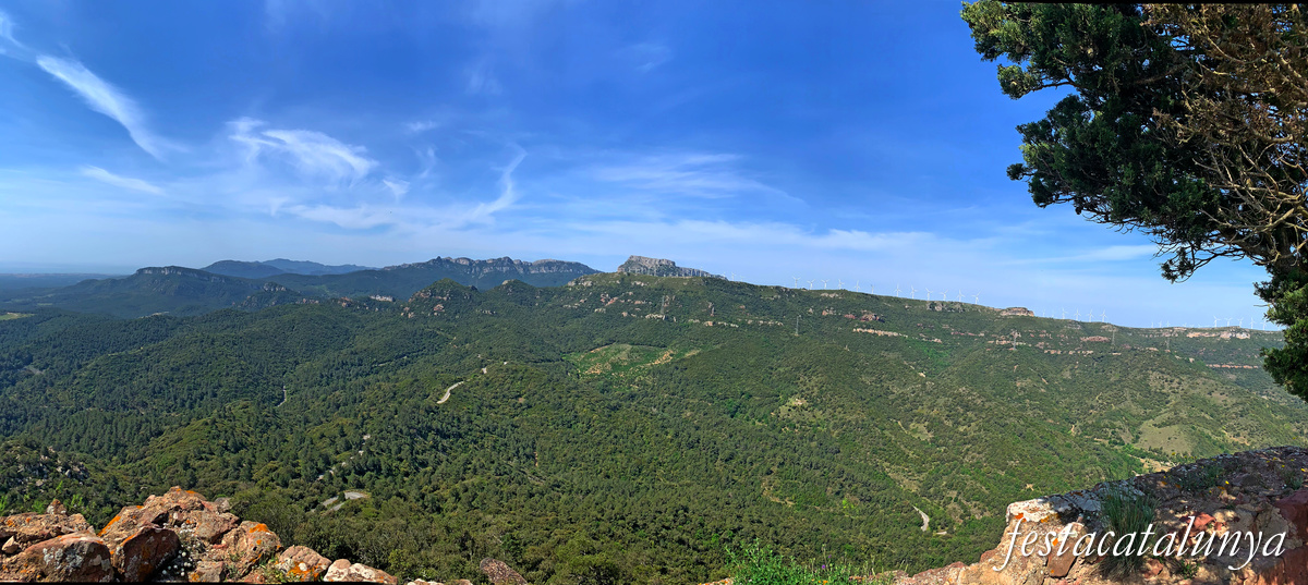 Riudecanyes - Vistes panoràmiques des de Santa Bàrbara del castell-monestir d'Escornalbou 