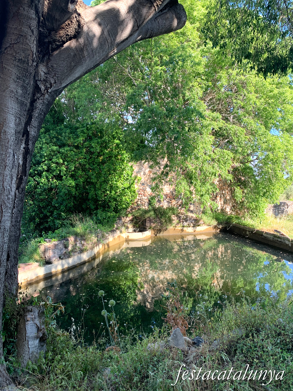 Riudecanyes - Molins 