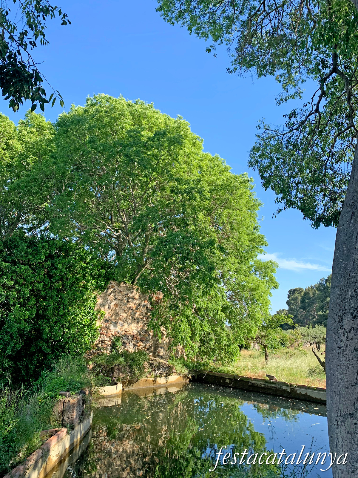 Riudecanyes - Molins