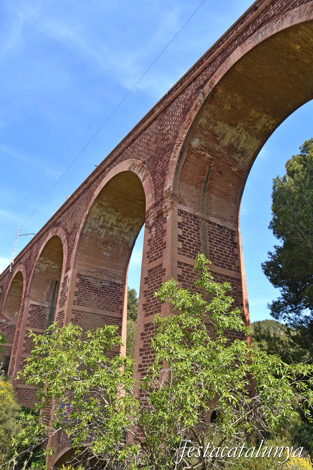 Riudecanyes - Viaducte de la Foïna 