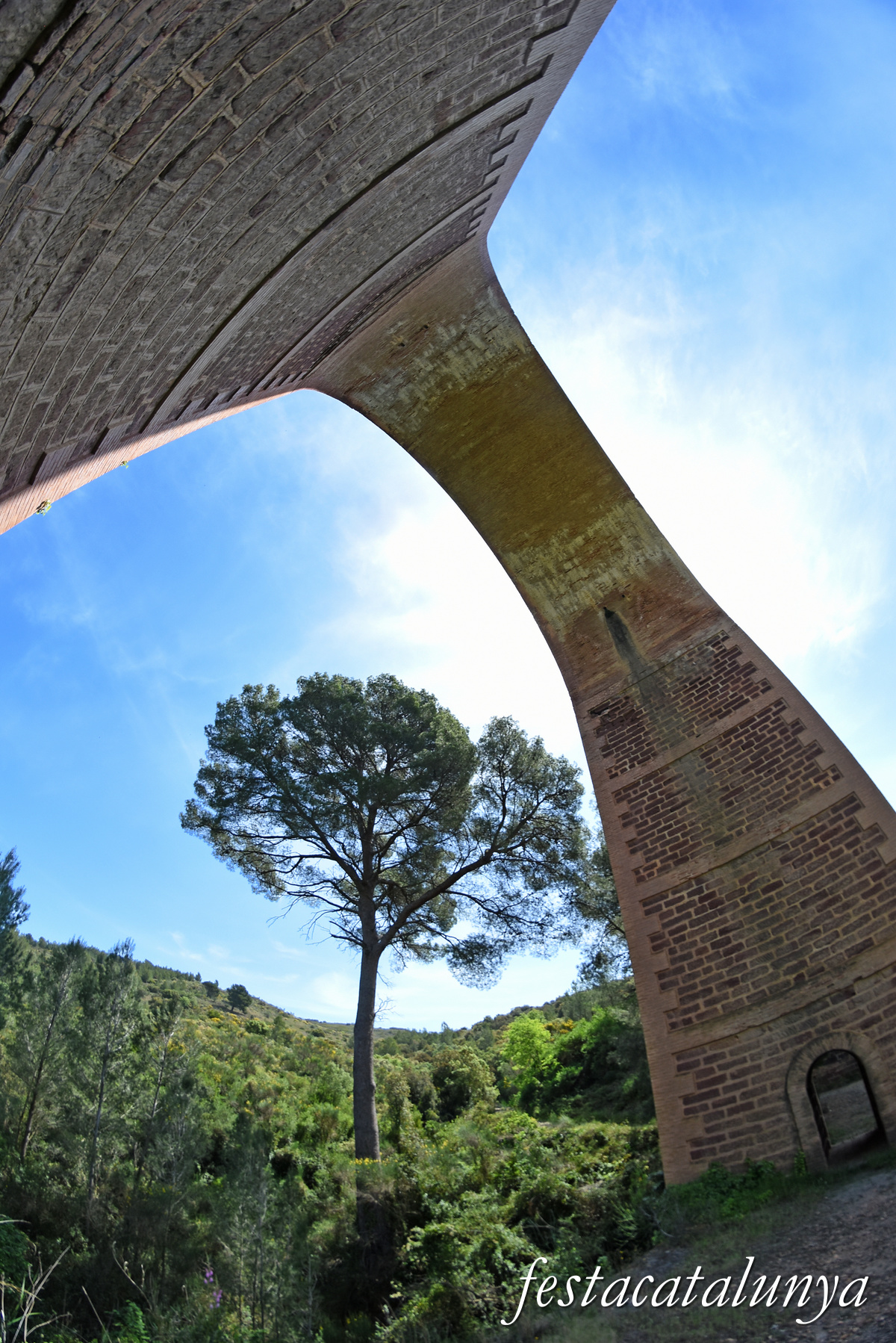 Riudecanyes - Viaducte de la Foïna 