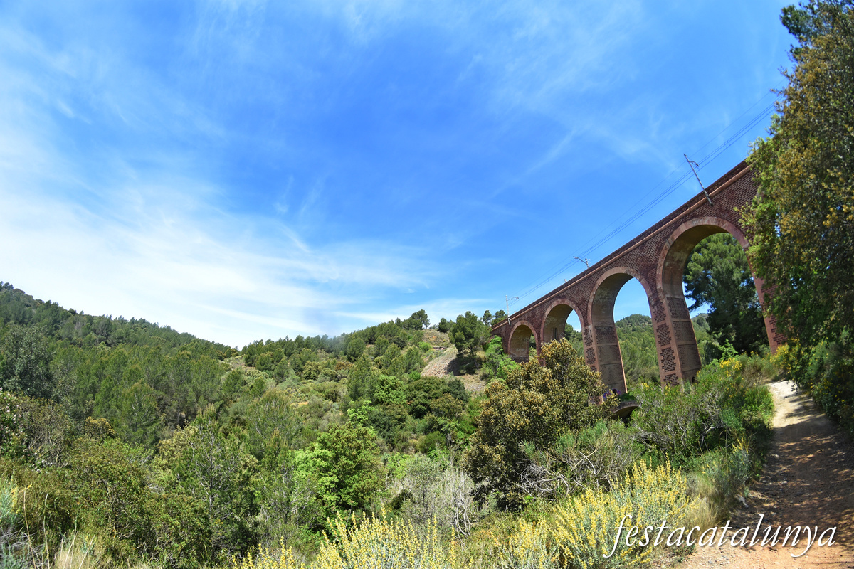 Riudecanyes - Viaducte de la Foïna 