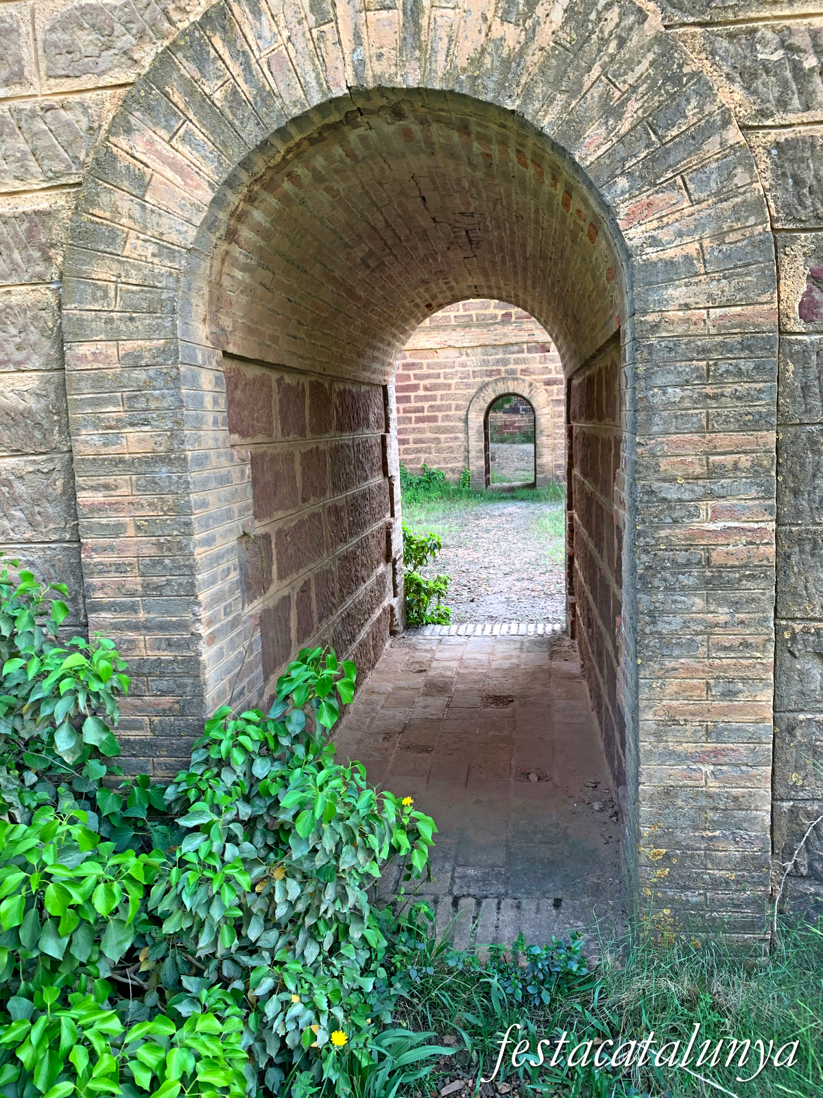 Riudecanyes - Viaducte de la Foïna 